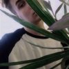 Посоветуйте бота для сервиса Likeinsta.ru (HOT)! - последнее сообщение от Goochik