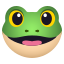 1f438.png 1f438.png