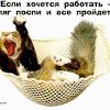 Парсеры телеграм - последнее сообщение от Alex Smirnoff