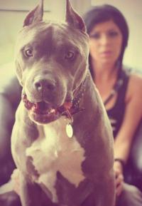 На что полезное потратить голоса вк