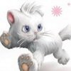 EVADAV TRAFFIC GROUP – Больше, чем Рекламная сеть: Перформанс-маркетинг, Мобильные приложения - последнее сообщение от Adolbine