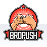 Bropush - твой бро в монетизации сайта push-уведомлениями - последнее сообщение от BroPush