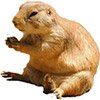 Zismo умирает? - последнее сообщение от bror