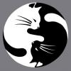 VkCommunityParser — лучший бесплатный парсер сообществ ВКонтакте - последнее сообщение от ezodoc